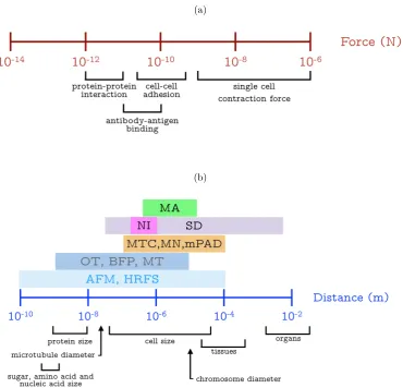 Figure 2.1: Force (a) and distance (b) range of common biological events.Theexperimental technique in abbreviation with its corresponding testing range