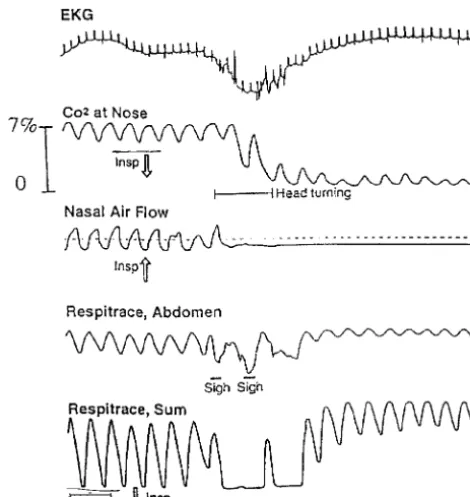 Fig 1. Illustrations of the protective behaviors observed in this study.