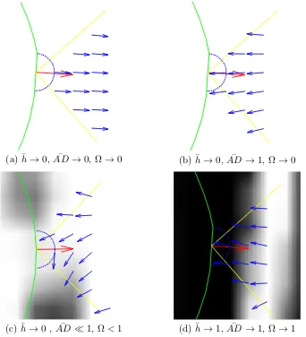 Figure 3.10: Direction of the GVF ﬁeld within region T for diﬀerent cases wherethe average amount of edge information (h¯) varies within region S (the snake isrepresented in green and non-white pixels represent strong edge information)