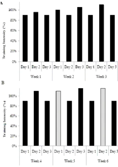 Figure 1Training protocol for the first and second three-week training phases, respectivelyTraining protocol for the first and second three-week training phases, respectively