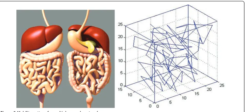 Figure 8 Mobility pattern for multiple capsule networks.
