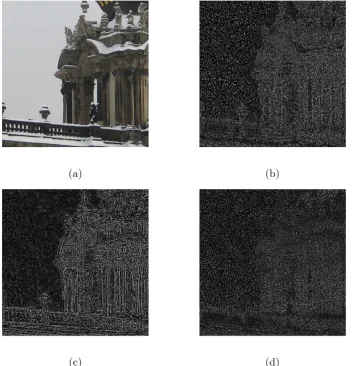 Figure 2.2: (a) An image with strong scene details. (b) The noise residual extractedfrom the image (a) using the Basic method
