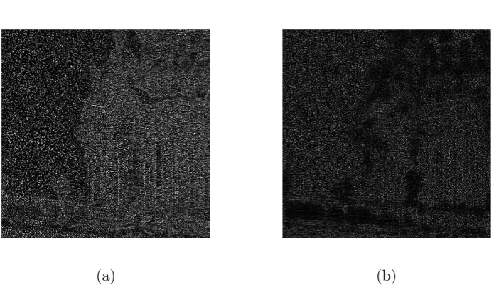 Figure 2.3: (a) The noise residual extracted by using the Basic method. (b) Theenhanced version of (a) by using the Model 5 in [9]