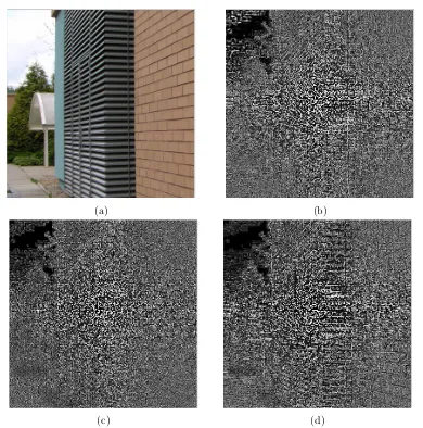 Figure 2.2: (a) A natural image, (b) noise residual obtained with the Mihcak de-noising ﬁlter [1, 2], (c) noise residual obtained with PCAI8 [4], and noise residualextracted with the BM3D denoising ﬁlter [5]