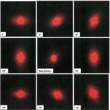 Fig. 3. The laser spot scatteringpattern pictures. Rotation anglesare stated relative to the horizon-tal plane