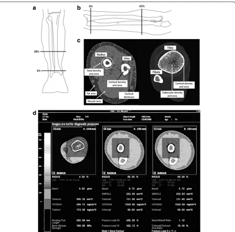 Fig. 1 Typical tibia (and radius obtained by pQCT in a normal-weight girl. The image allows identifying some of the main parameters obtained, such as the fatcross-sectional area (CSA) (fatCSA) and the muscle CSA (muscleCSA).a) and radius (b) pQCT, with sca