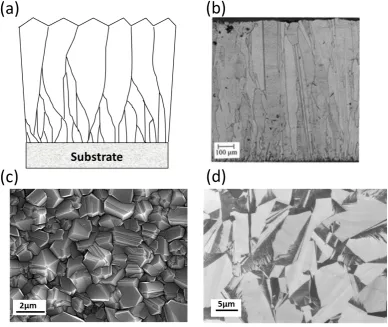 Figure 1.2: (a) Schematic and (b) SEM image of cross section of CVD-grown diamond.34