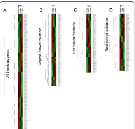 Figure 2 Genes differentially expressed following thedevelopment of drug resistance. A