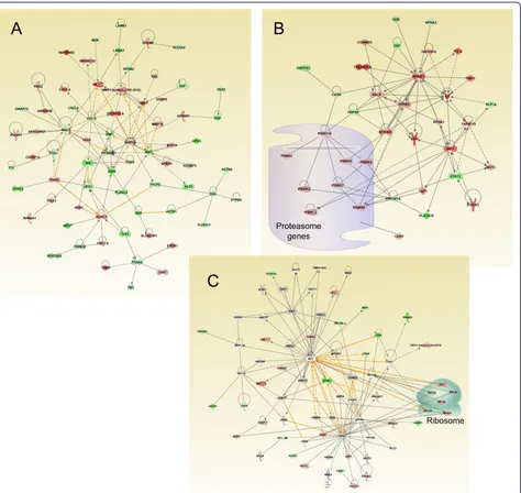 Figure 4 Network of genes identified using Ingenuity Pathway Analysis. A. Network including ECM and other genes altered in cisplatinderived resistant cells