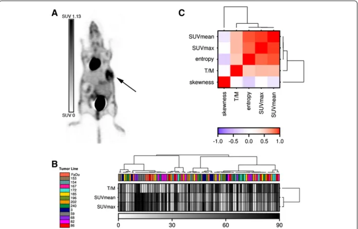 Figure 1 Classification of 14 HNC lines using 18 F-FDG PET quantification parameters SUV max , SUV mean and Tumor-to-Muscle ratio (T/M) and correlation with established PET global texture features