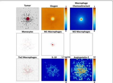 Fig. 3 Tumor growth by 13 days with both TEM and M1 macrophage subtypes present (same description of panels as in Fig