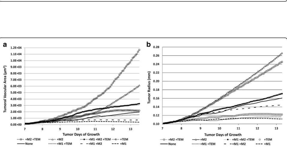 Fig. 5 Time evolution of the macrophage sub-populations depending on the type of the sub-populations