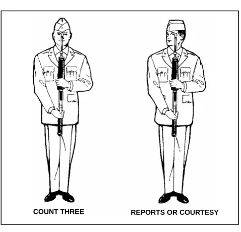 Figure 4-10. Present arms. 