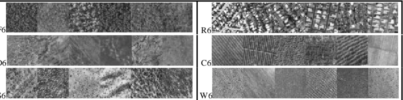 Figure 4.. The six texture sets used to test the “separating” potential of the texture analysis methods