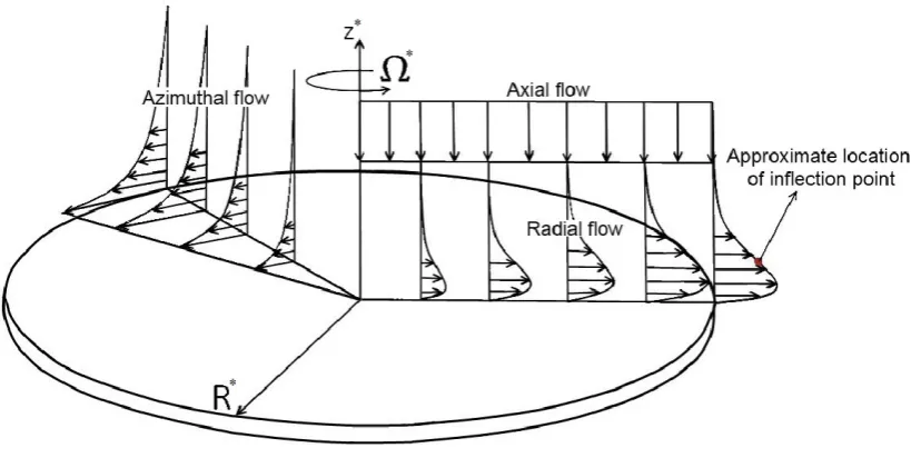 Figure 2.1: Rotating–disk ﬂow.