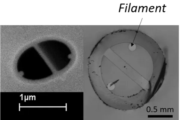 Figure 14 SEM and Optical image of dual filament capillary used 