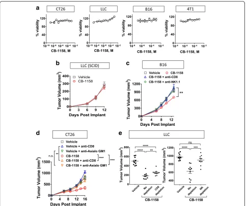 Fig. 4 CB-1158 requires an intact immune system for efficacy.of CB-1158.by CB-1158 in the B16 ( a CellTiterGlo assays (72 h) were performed on the indicated cell lines with a dose-titration b B6.CB17-Prkdc (SCID)/SzJ mice were implanted with LLC cells and 
