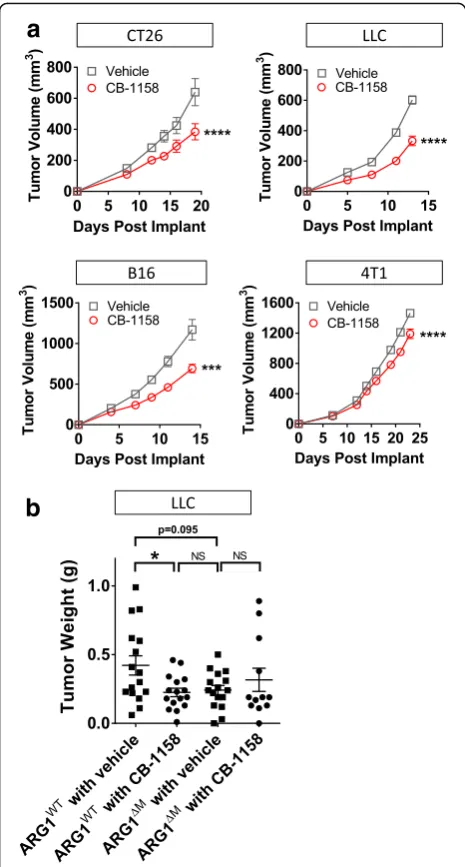 Fig. 3 Arginase inhibition reduces tumor growth in vivo.Mice lacking(indicated as ARG1dosed at 100 mg/kg twice daily, reduced tumor growth as a single agentin multiple syngeneic mouse models of cancer ( a CB-1158,N = 10 per group)