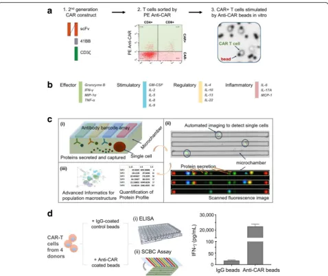 Fig. 1 Multiplexing single cell measurement of CAR-T cells in microchambers. a Schematic outline of CD19TL19 CAR-T cell generation, sorting andstimulation