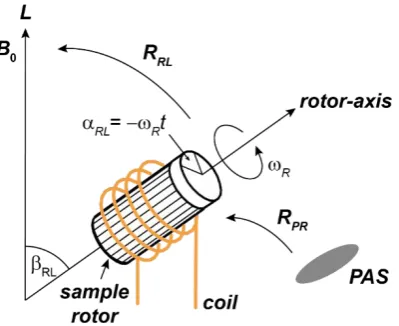 Figure 2.9 Schematic representation of a rotor aligned at βRL relative to the external magnetic field