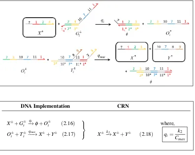 Figure 2.6: Catalysis reaction XY(± → X± +Y ±. The unimolecular catalysis reaction(2.18) is approximated from the DNA implementation with reaction index i