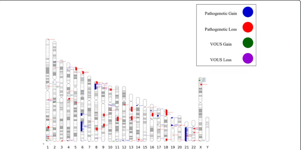 Fig. 1 ACGH results are depicted