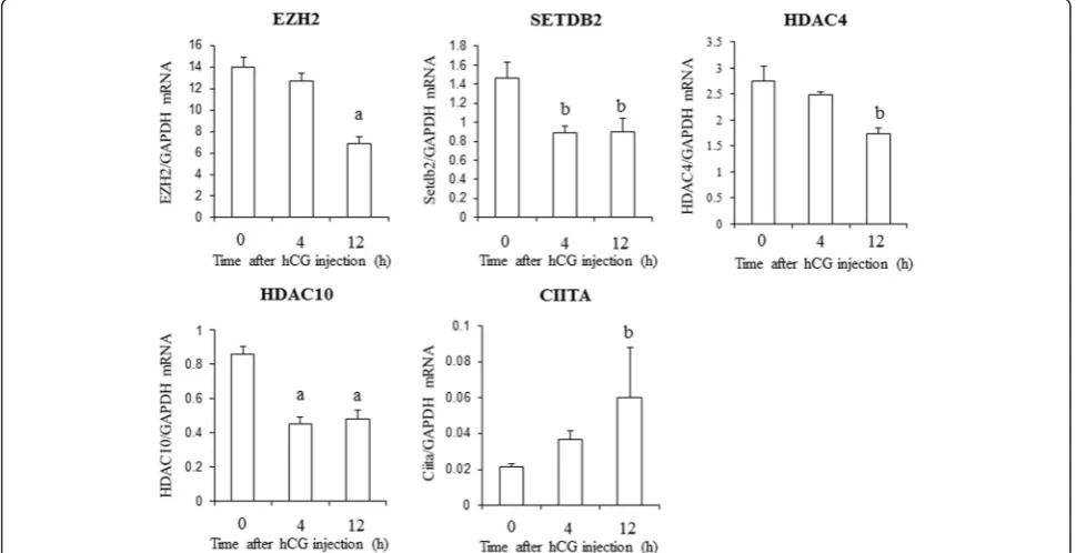 Table 3 Genes with a 2-fold up- or down-regulation between 0 and 12 h
