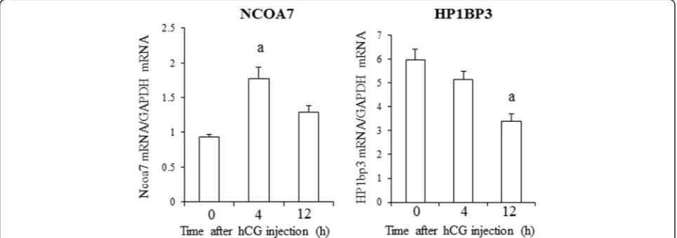 Fig. 2 mRNA expression ofEach bar represents the mean +/histone modification or chromatin remodeling and act downstream of the ERK1/2 signal after ovulation induction