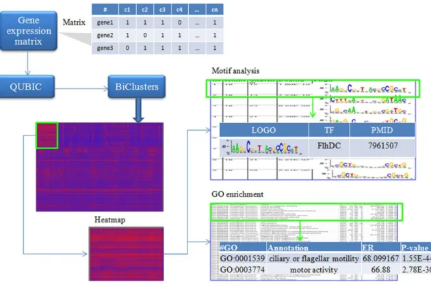 Figure 2. An example workflow of using Qserver. 