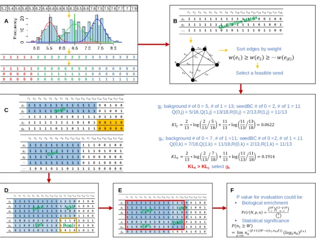 Figure 3. QUBIC2 workflow. A. Discretization of gene expression data. Each gene’s expression  profile is fitted by the LTMG model and discretized qualitatively