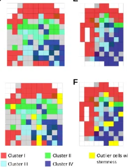 Figure 9. A. The coordinates of cells correspond to five morphological layers (1. Granular cell  layer; 2