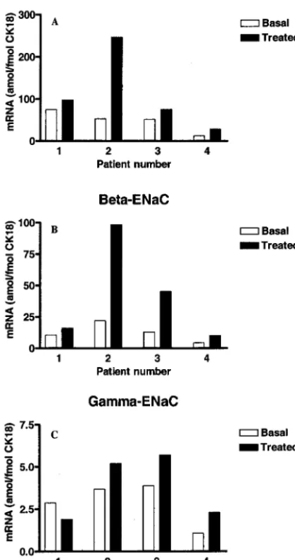 Fig 2. Expression of �- (A), �- (B), and �- (C) ENaC subunits innasal epithelium in 4 preterm infants before (basal) and 7 to 20hours after the commencement of dexamethasone treatment(treated)