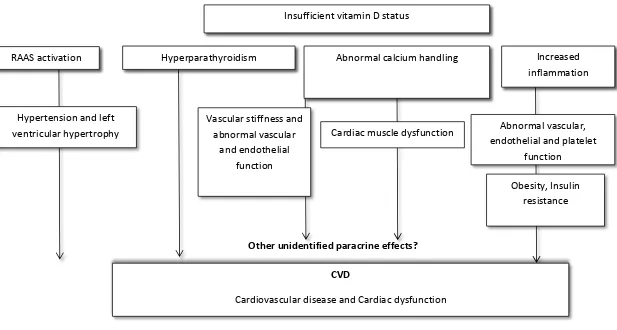 Figure 2-3:  Potential mechanisms how low vitamin D causes cardiovascular disease 