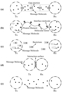 Figure 1.2: Five diﬀerent MC architectures.