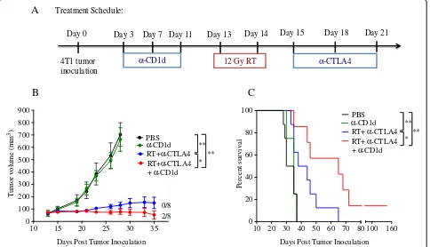 Figure 4 CD1d blockade improves response of WT mice to treatment with radiotherapy and anti-CTLA-4