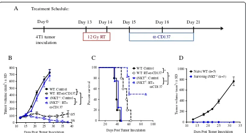 Figure 7 Response of 4T1 tumor-bearing mice to treatment with local radiotherapy and anti-CD137 mAb is improved in the absencecomplete tumor regression.of iNKT cells