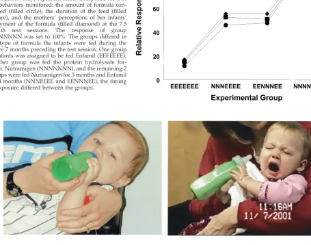 Fig 1. Relative responses of the 4 groups of infants(groupsEEEEEEE,NNNEEEE,EENNNEE,andNNNNNNN) to Nutramigen at the 7.5-month test ses-sion