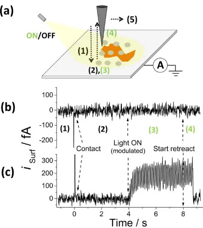 Figure 2 Schematic of photo-SECCM hopping scan (a): approach to surface with light OFF 