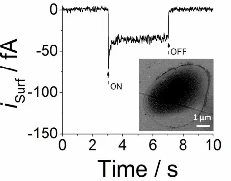 Figure 4 SECCM surface (photo)current-time transients on a P3HT film deposited on a 
