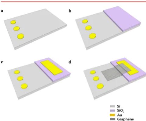 Figure 1. Fabrication process of a GDS. (a) The source electrodes aredeposited immediately after native silicon oxide removal to give ohmiccontacts