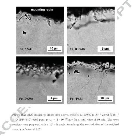 Figure B.2: SEM images of binary iron alloys, oxidised at 700◦C in Ar / 2.5vol-% H2 /