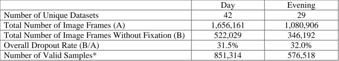 Table 1 Statistical Summary of Eye Tracking Data 