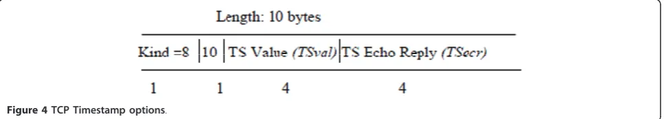 Figure 4 TCP Timestamp options.
