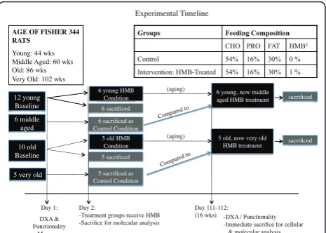 Figure 1 Schematic of experimental timeline for theexperiment.