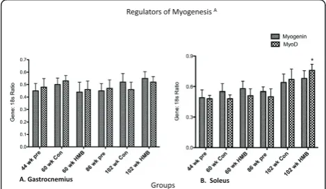 Figure 6 Regulators of Mitogenesis in the gastrocnemius andsoleus muscles. * indicates a significant difference from the 44-wkgroup (p < 0.05).