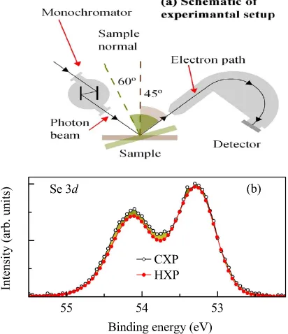 Figure 1. (a) A schematic of the experimental setup showing photon source, electron detector and sample for different electron emission angles