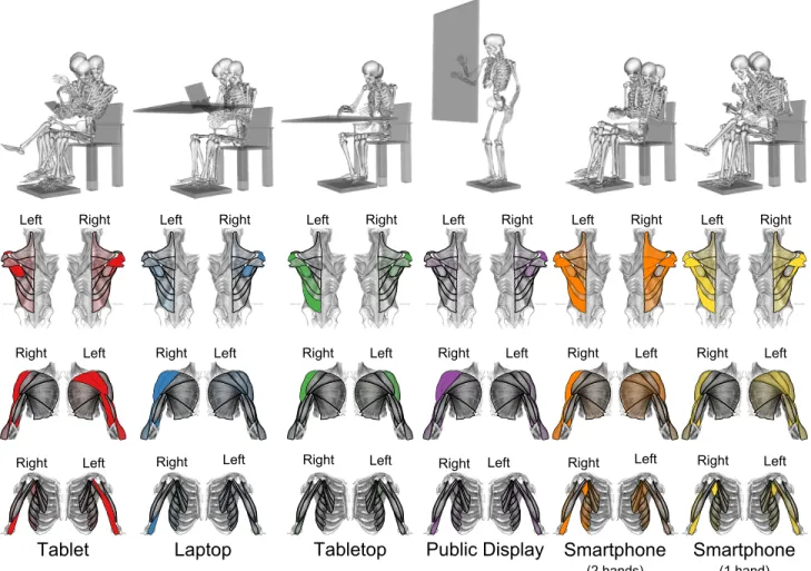 Figure 6. Posture clusters (top) per surface. Total activations of major muscles are shown below per surface type.