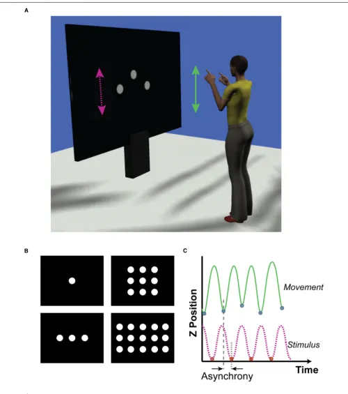 FIGURE 1 | (A) Representation of experimental set up. Participants faced amade bimanual arm movements in synchrony with the target stimulus,flexing and extending the forearm from the elbow.and distractor stimuli