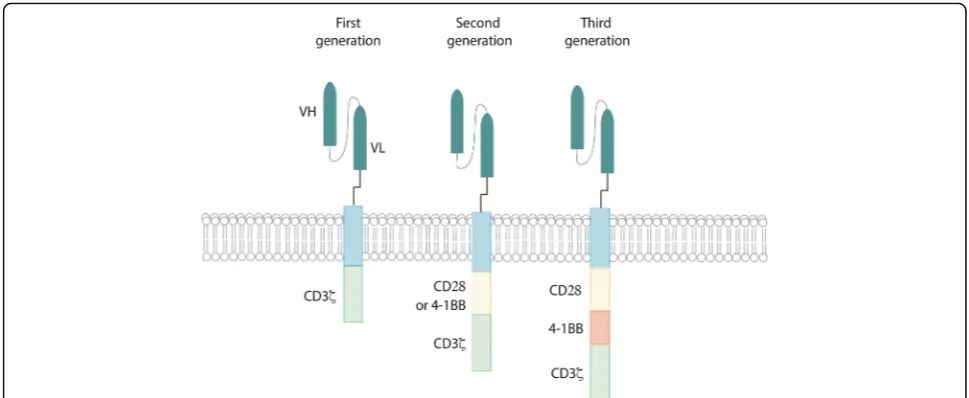 Fig. 1 CAR structure. All different generations of CAR are composed of an extracellular antigen- binding domain (usually derived from an anantibody and engineered into an scFv), a hinge region, a transmembrane domain and various intracellular domains