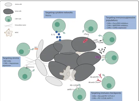 Fig. 2 Targeting different components of the tumor microenvironment to enhance the efficacy of CAR T-cell therapy
